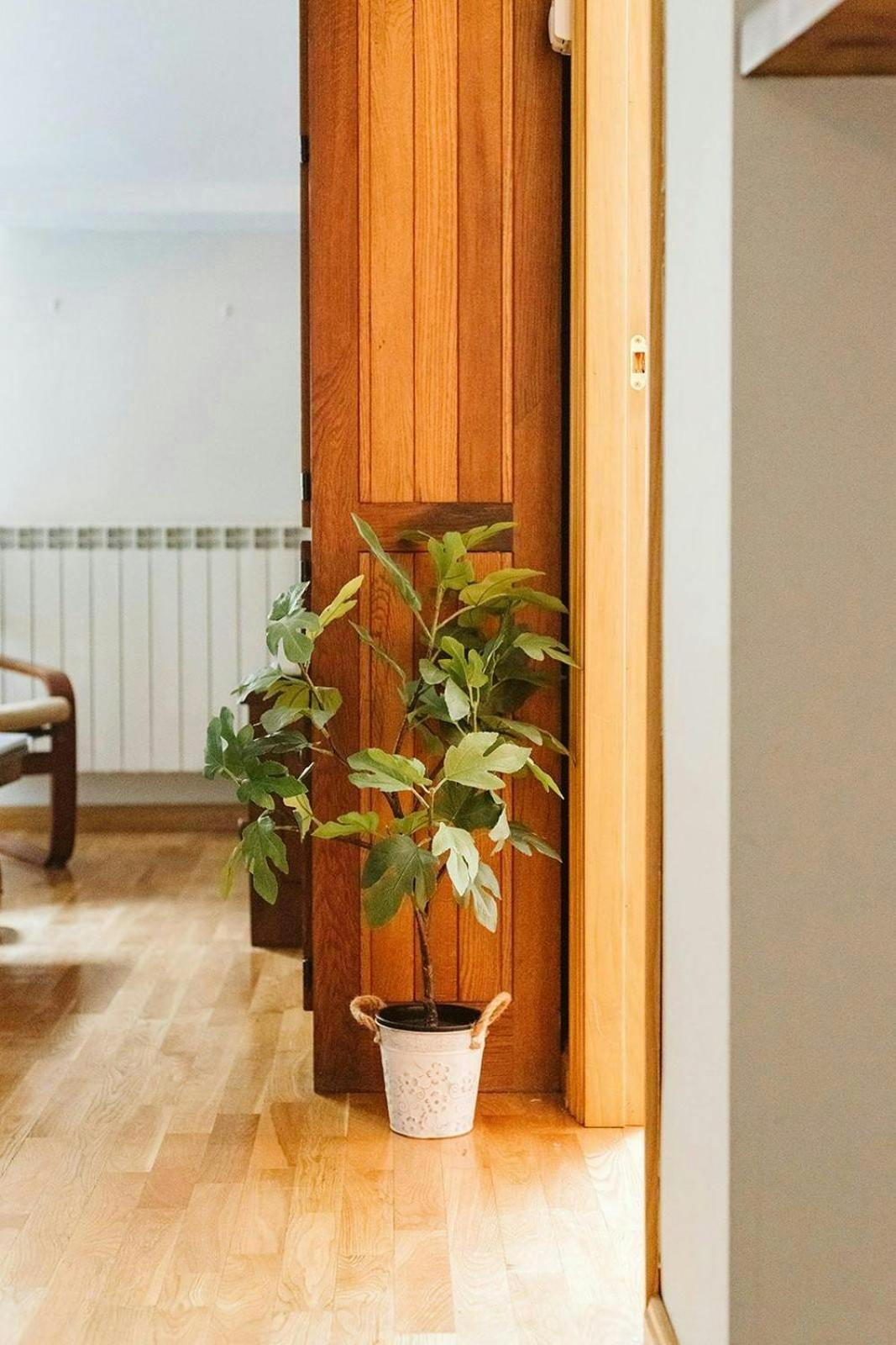 Casa Begona - Wifi Sencillo Y Acogedor Apartment Sallent De Gallego Bagian luar foto